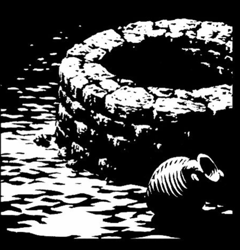 Drinking from the well